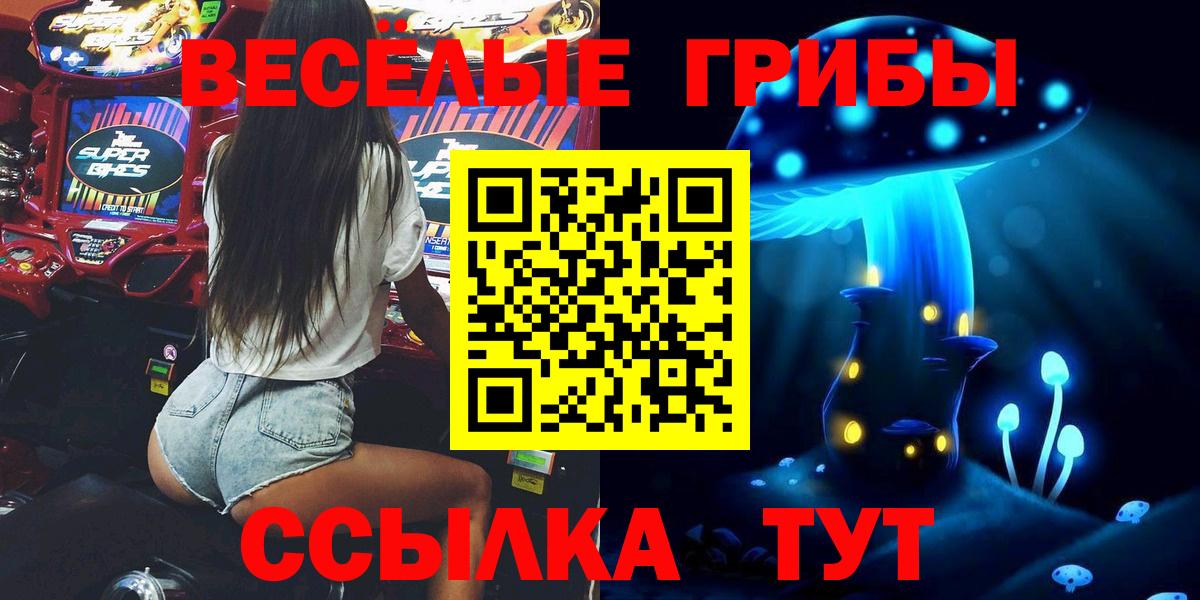Галлюциногенные грибы GOLDEN TEACHER Россия